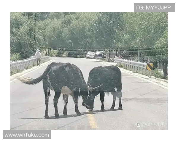 希勒宾夕法尼亚临危不乱,惊险战平小牛!